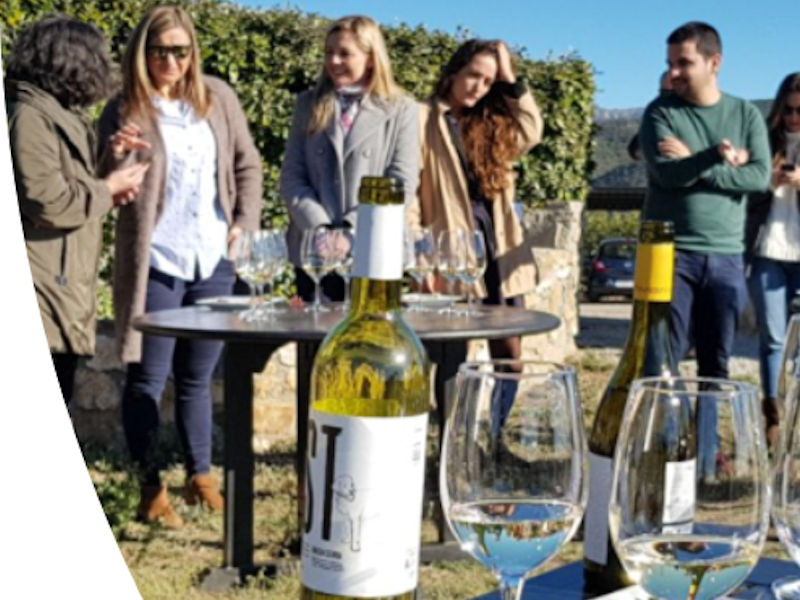 English Experience Gran Canaria Grupo Adaya